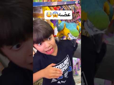 ببغاء المتكلم عضه😱🦜😳