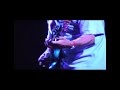 Dave Pegg - "Level Pegging" Cropredy 2003