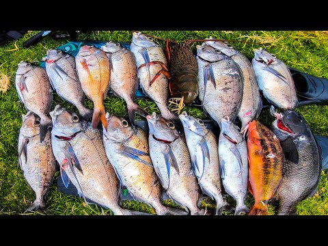 I Caught All The Seafood For Christmas Lunch Catch And Cook