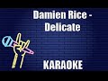 Damien Rice - Delicate (Karaoke)