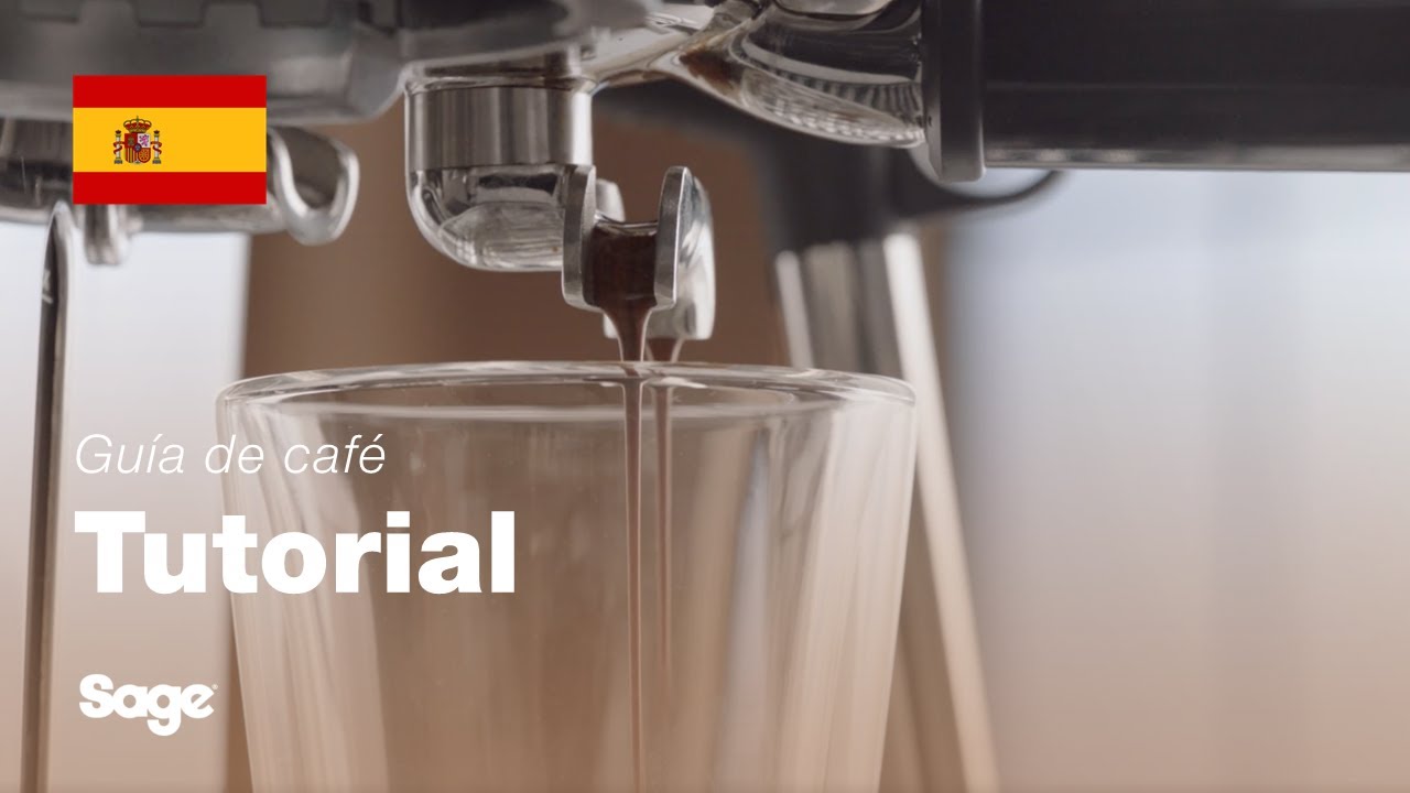 Tutorial de guía de café de Breville - Equilibrar la extracción