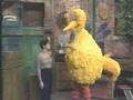 Marisa Tomei On Sesame Street