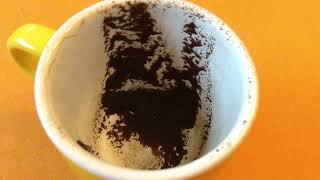 Gemini August 24, 2026 Weekly Coffee Cup Reading by Cognitive Universe 