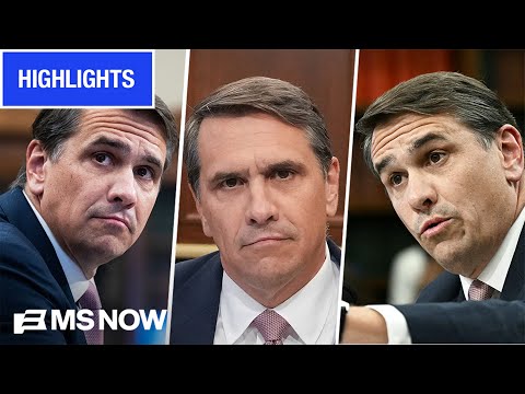 Blanche HAMMERED by House Dems on Trump 'slush fund', Epstein files | MS NOW Highlights