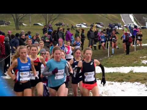 HIGHLIGHTS: Women's 10K - 2016 Canadian Cross-Country Championships