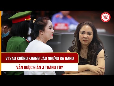 Vì sao không kháng cáo nhưng bà Hằng vẫn được giảm 3 tháng tù?