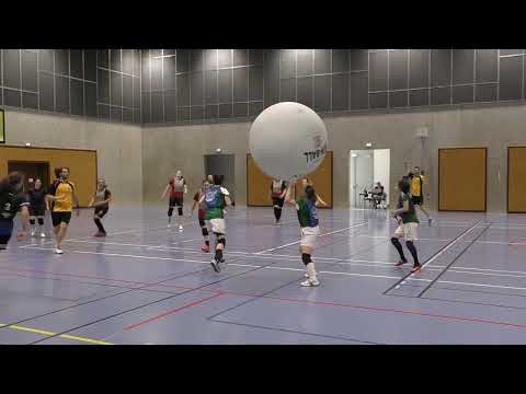 D1F Kin-Ball - 24-05-2025 - Nantes 1 F - Rennes 1 F - Ponts de cé 1 F