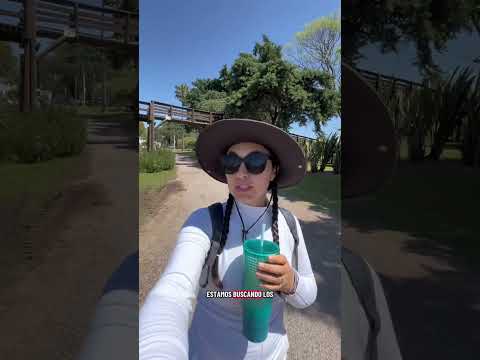 Bioparque Durazno 🍑 Uruguay 🇺🇾