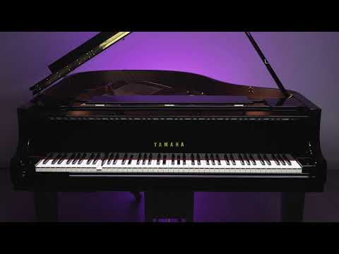 Stefano Zavattoni - My intimate reflections