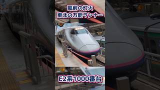 風前の灯火！東北の万能ランナーE2系1000番台