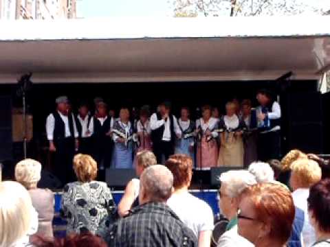 Amsterdams volkskoor met er is maar 1 groot Mokum