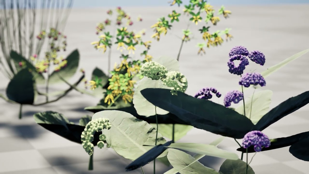 North American Milkweeds V05 Pack 3D Model