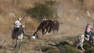 preview picture of video 'ENCIERRO BRIHUEGA 2014'