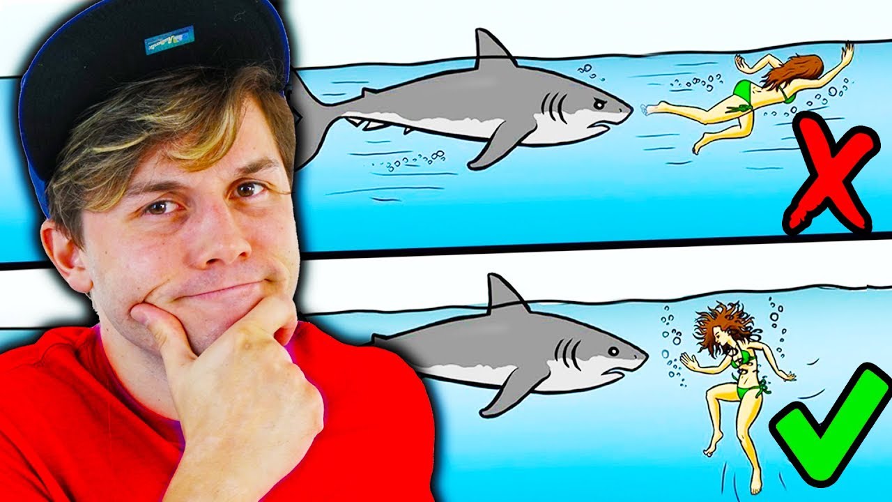 13 DICAS PARA SOBREVIVER AO ATAQUE DE ANIMAIS SELVAGENS ☆ TUBARÃO PERIGOSO ☆