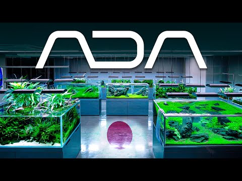 EVERY Aquarium inside the FAMOUS ADA Japan Gallery