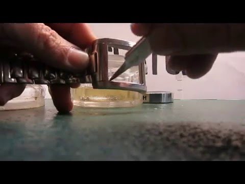 comment demonter une montre swatch