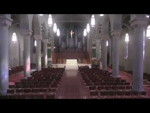 1 pm, Organ Recital (2.17.2023)