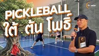 Play Video: Project Reference by Trandar Acoustics : PickleBall Court