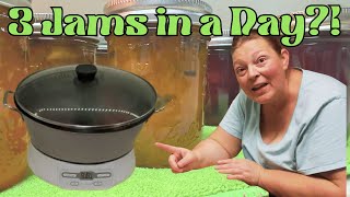 Thrifted Jam & Jelly Maker Put to the Test! Plum Jam Recipe #everybitcountschallenge 
