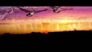 **Cinematic Flying Colors**  [The Cinematic Orchestra]