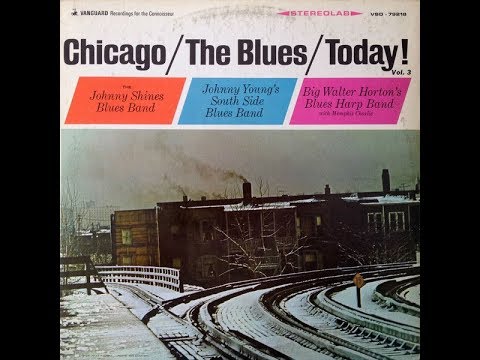 BIG WALTER HORTON'S  BLUES HARP BAND - Rockin' My Boogie