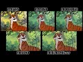 The Jungle Book VHS DVD Blu Ray Comparison
