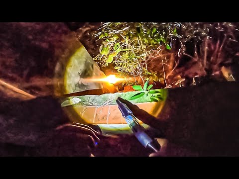 O OBSSESSOR ATACOU A GENTE - CAÇADORES DE LENDAS