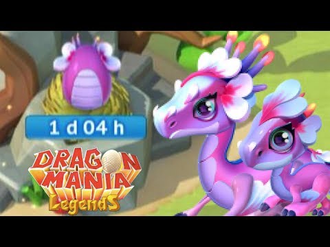 BLOSSOM DRAGON Breeding + Clan Quests! - Dragon Mania Legends #525