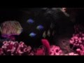 Disney S EPCOT The Seas With Nemo Friends Pavillion 2012
