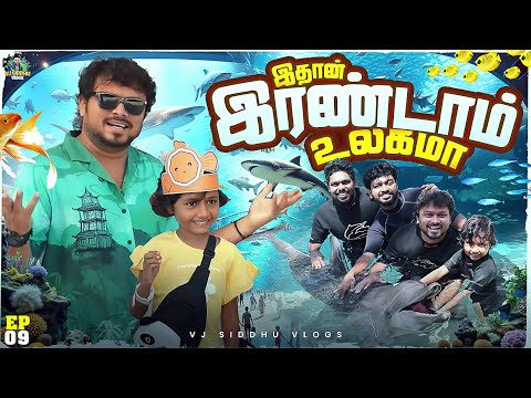 Dolphin ஓட Swimming-அ போட்டுட்டோம் 🤩🗺 | Singapore Series | Ep - 09 | Vj Siddhu Vlogs