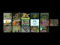 Barney Sesame Street Disney S Sing Along Songs And Blue S Clues Remix Credits With Elmo S World V1