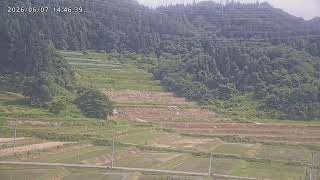 大蕨の棚田