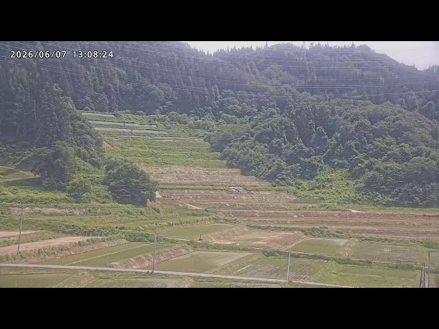 大蕨の棚田（寛永13年・1636年からの歴史を持つ棚田）