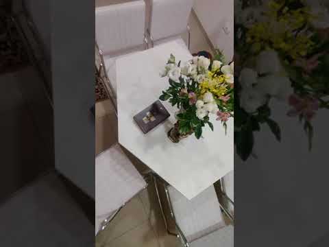 Santo Daime - Daime a Fé (Pad. Zé Ricardo)