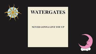 Watergates ‎– Never Gonna Give You Up(Instrumental) -4%