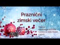 Praznični Zimski Večer