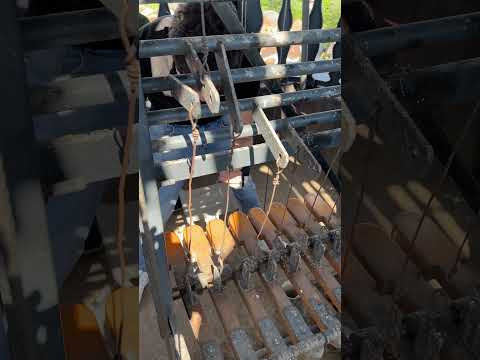 Известна песен на Алпини, изпълнявана с камбани