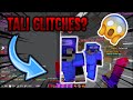 Tali Glitches In Minecraft HCF