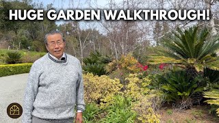 SPRING GARDEN TOUR 2025 | My Oldest Bonsai, Flowers & Garden Inspiration