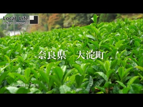 【空から見た奥大和】大淀町