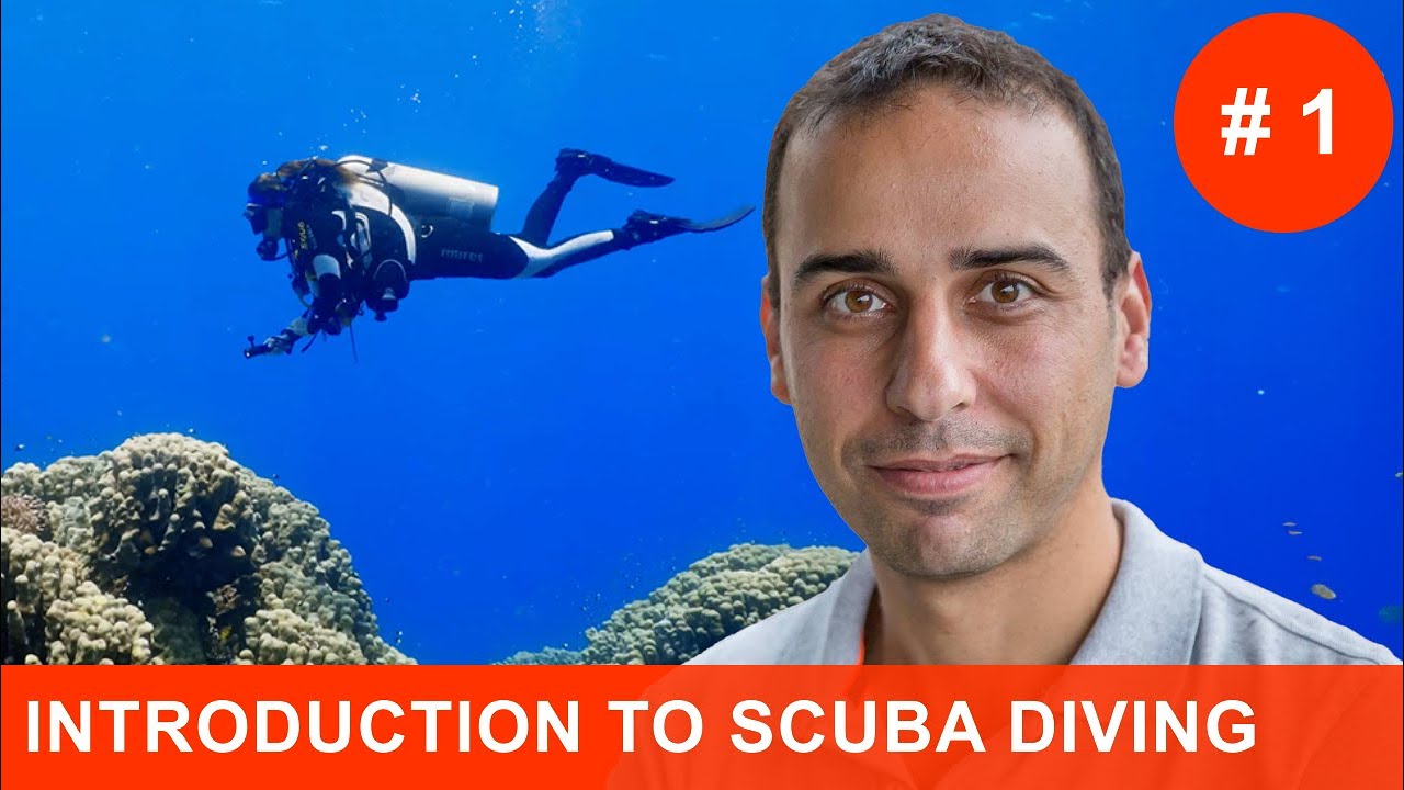 S1E1: Scuba Diving for beginners - Everything to get started with it  #scubadiving #diving #scuba
