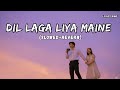 Dil Laga Liya Maine Slowed Reverb Alka Yagnik Udit Narayan Lofi Song