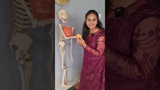 Dear Brothers Happy Raksha Bandhan - Rakhi