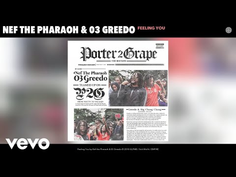 Nef the Pharaoh - Feeling You (Audio)