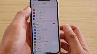 How to Check Your iPhone 11 Pro