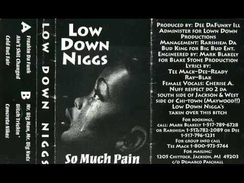 Low Down Niggs - Bitch Trickin