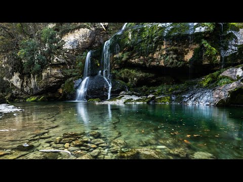 Natur Meditation - Regenwald Sounds und Regen