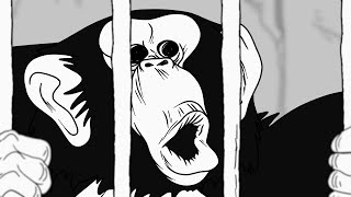 Monkeys &quot;R&quot; Us