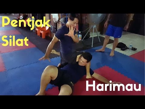 Pentjak Silat: Harimau Techniques