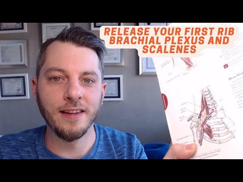 Release your first rib brachial plexus and scalenes